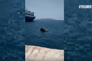 Αυτοκίνητο έπεσε στη θάλασσα στο λιμάνι της Μυκόνου, δίπλα από το πλοίο της γραμμής
