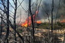 Δύο νέες πυρκαγιές στη Ζάκυνθο με διαφορά λίγων λεπτών - Μάχη με τις φλόγες και στην Άνδρο