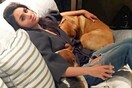 Νέο μέλος στη βασιλική οικογένεια - Μέγκαν Μάρκλ και πρίγκιπας Χάρι μόλις υιοθέτησαν σκύλο