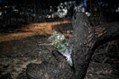 Κατατέθηκε η πρώτη μήνυση για τις πυρκαγιές στην ανατολική Αττική