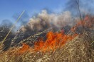 Πυρκαγιά στη Βοιωτία κοντά σε στρατόπεδο με καύσιμα - Συναγερμός στην Πυροσβεστική