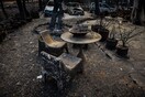 Ιατροδικαστής: Μία από τις πιο δύσκολες αποστολές μου η νεκροτομή των θυμάτων στο Μάτι