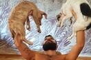 30 νέες φωτογραφίες απ' τα τέλεια ζώα των αναγνωστών μας