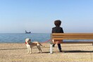 30 νέες φωτογραφίες απ' τα τέλεια ζώα των αναγνωστών μας