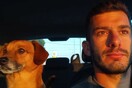 30 νέες φωτογραφίες απ' τα τέλεια ζώα των αναγνωστών μας