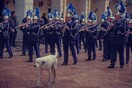 30 νέες φωτογραφίες απ' τα τέλεια ζώα των αναγνωστών μας