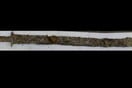 Μία 8χρονη βρήκε ένα σπαθί 1.500 ετών σε λίμνη της Σουηδίας