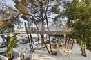 Cooking for Charity: Τρία Σαββατοκύριακα υψηλής γαστρονομίας στο δεντρόσπιτο του Ekies στη Χαλκιδική