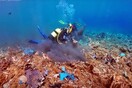 Έχετε δει ποτέ έναν κόλπο γεμάτο «πλαστικά κοράλλια»; - Μια θλιβερή εικόνα στο βυθό της Άνδρου