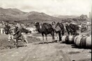 Καραβάνι με καμήλες στην Άμφισσα γύρω στο 1920