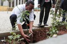 Στην Αιθιοπία φύτεψαν 350 εκατομμύρια δένδρα σε μια μέρα