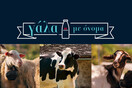 Η ΔΩΔΩΝΗ γιορτάζει την Παγκόσμια Ημέρα Γάλακτος για 4η συνεχόμενη χρονιά