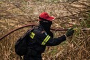 Σε εξέλιξη πυρκαγιά που ξέσπασε από κεραυνούς στη Χαλκιδική