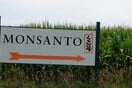 Guardian: Oι «μυστικές υπηρεσίες» της Monsanto στοχοποιούσαν δημοσιογράφους και ακτιβιστές