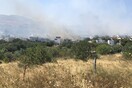 Φωτιά στη Ραφήνα - Διακοπή κυκλοφορίας στη Μαραθώνος