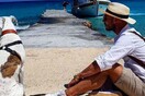10 νέες φωτογραφίες απ' τα τέλεια ζώα των αναγνωστών μας #68