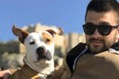 30 νέες φωτογραφίες απ' τα τέλεια ζώα των αναγνωστών μας #12
