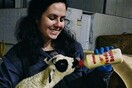 10 νέες φωτογραφίες απ' τα τέλεια ζώα των αναγνωστών μας #52
