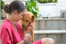 10 νέες φωτογραφίες απ' τα τέλεια ζώα των αναγνωστών μας #82