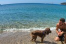 10 νέες φωτογραφίες απ' τα τέλεια ζώα των αναγνωστών μας #87