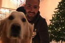 30 νέες φωτογραφίες απ' τα τέλεια ζώα των αναγνωστών μας