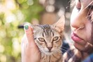 30 νέες φωτογραφίες απ' τα τέλεια ζώα των αναγνωστών μας