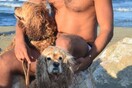 10 νέες φωτογραφίες απ' τα τέλεια ζώα των αναγνωστών μας #74