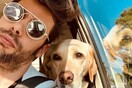 10 νέες φωτογραφίες απ' τα τέλεια ζώα των αναγνωστών μας #39