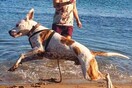 10 νέες φωτογραφίες απ' τα τέλεια ζώα των αναγνωστών μας #98