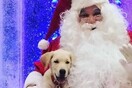 Πρωτοχρονιάτικο LIFOPETS! 30 νέες φωτογραφίες απ' τα τέλεια, γιορτινά ζώα των αναγνωστών μας