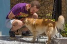 10 νέες φωτογραφίες απ' τα τέλεια ζώα των αναγνωστών μας #44