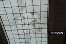 Καταγγελία για μούχλα και υγρασία δίπλα απ' τα Γλυπτά του Παρθενώνα στο Βρετανικό Μουσείο - «Προσβλητική εικόνα», λέει η Μενδώνη