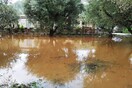 Προβλήματα από την κακοκαιρία στην Ζάκυνθο: Πλημμύρες, πτώση δέντρων, καταστροφές σε στέγες