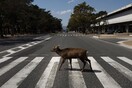 Η μεγάλη παύση της ανθρωπότητας - Επιστήμονες θα ερευνήσουν τι προκλήθηκε με το lockdown