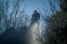 Πυρκαγιά στην Αίγινα - Μεγάλη επιχείρηση της πυροσβεστικής
