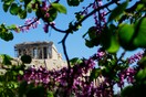Καιρός: Ανεβαίνει η θερμοκρασία σήμερα, έως τους 24 βαθμούς Κελσίου