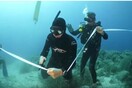 Εγκαίνια για το υποβρύχιο μουσείο Αλοννήσου: Την «υποθαλάσσια» κορδέλα έκοψε ο Σάκης Ρουβάς