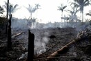 Φωτιές, αποδάσωση, εξορύξεις, υλοτομία και τώρα ο κορωνοϊός: Ο Αμαζόνιος εκπέμπει SOS