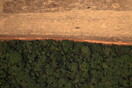 Κατακόρυφη αύξηση της αποψίλωσης του Αμαζονίου τον Απρίλιο