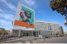 Κορωνοϊός στην Ελλάδα: Στους 115 οι νεκροί- Κατέληξε 74χρονος στο ΑΧΕΠΑ