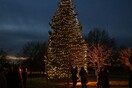 Η Χαλκιδική ανάβει το πρώτο Χριστουγεννιάτικο δέντρο της Ελλάδας για το 2019