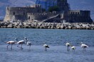 Καιρός: Άνοδος της θερμοκρασίας, έως τους 36 βαθμούς θα φτάσει το θερμόμετρο