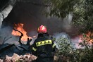 Φωτιά σε δασική έκταση στην Ηλεία
