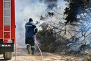 Φωτιά σε ρεματιά στην Κηφισιά