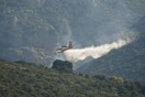 Συναγερμός στην Πυροσβεστική: Φωτιά σε δάσος στην Κάρυστο