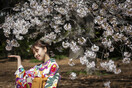 Η εποχή της Σακούρα έφτασε στην Ιαπωνία- Μοναδικές εικόνες από τις ανθισμένες κερασιές