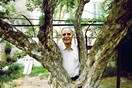 Ντίνος Χριστιανόπουλος: το photo album του 1995