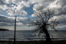 Καιρός: Βροχές, ισχυροί άνεμοι και άνοδος της θερμοκρασίας
