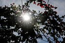 Αίθριος σήμερα ο καιρός, με υψηλές θερμοκρασίες - Πού θα βρέξει