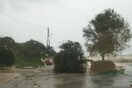Κέρκυρα: Προβλήματα από την κακοκαιρία «Βικτώρια» - Πλημμυρισμένα σπίτια, πτώσεις δέντρων, διακοπές ρεύματος